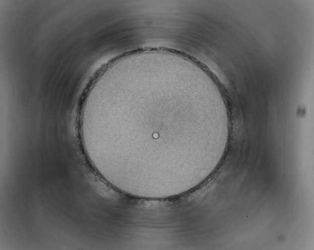 X0000102290832200807251420