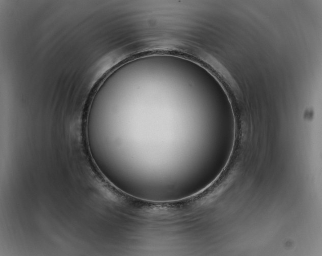 X0000102290834200807251420
