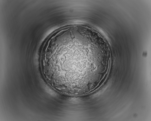 X0000102290835200807251420
