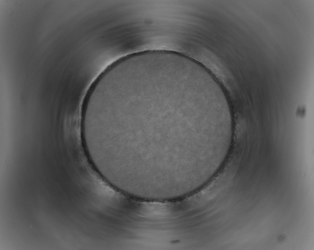 X0000102290836200807251420