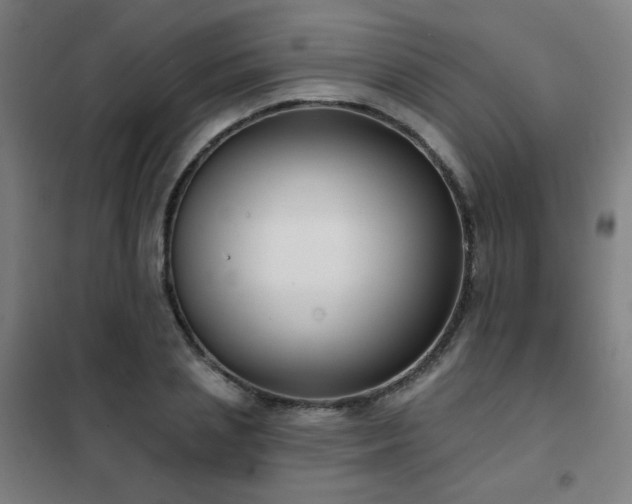 X0000102290837200807251420