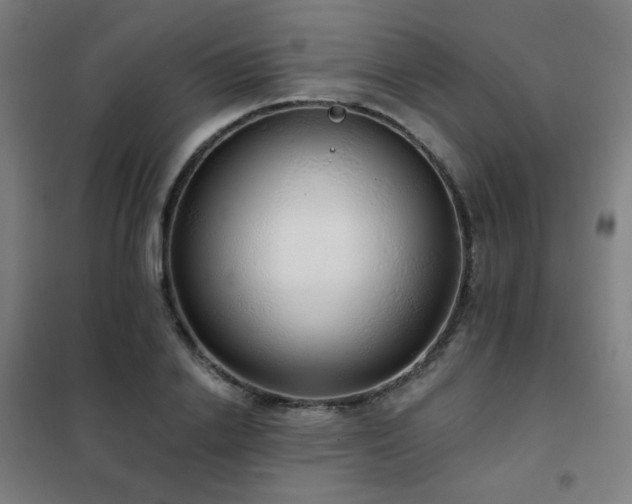 X0000102290838200807251420