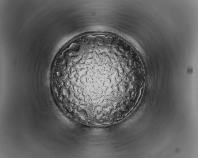 X0000102290839200807251420