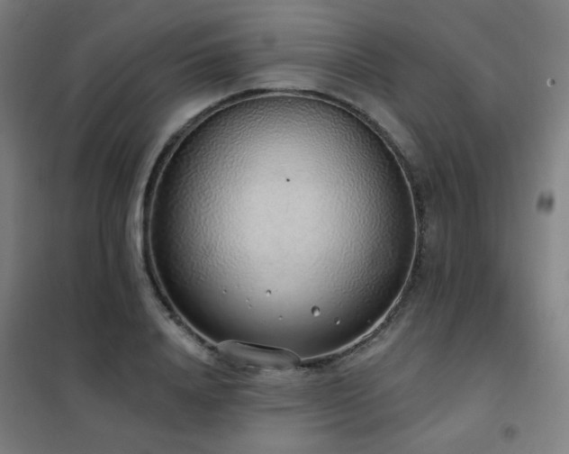 X0000102290840200807251420