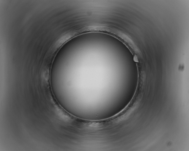 X0000102290841200807251420