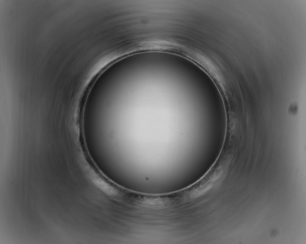 X0000102290843200807251420