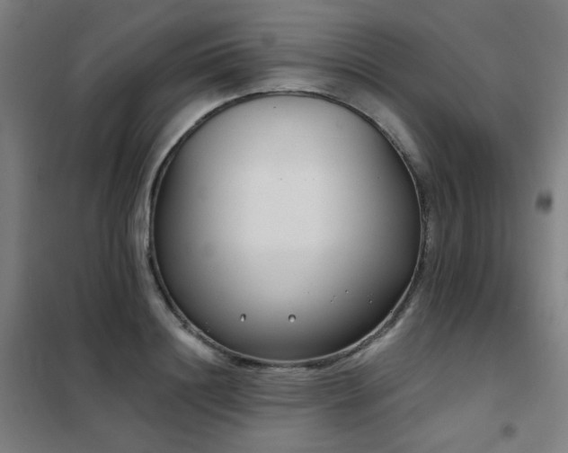 X0000102290844200807251420
