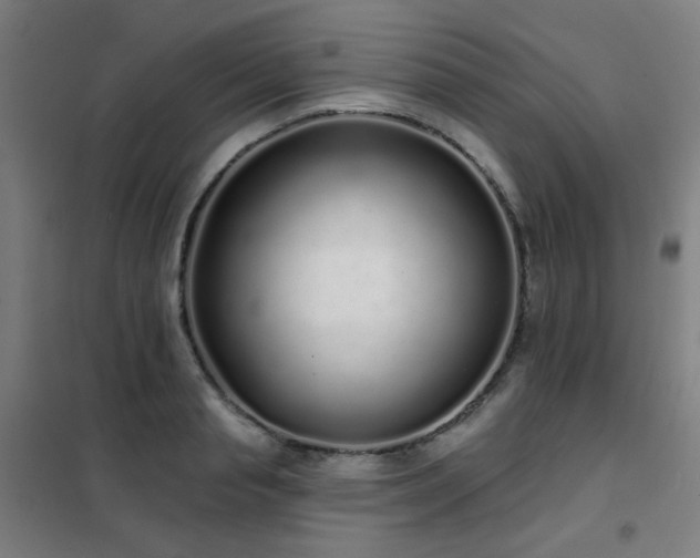 X0000102290845200807251420
