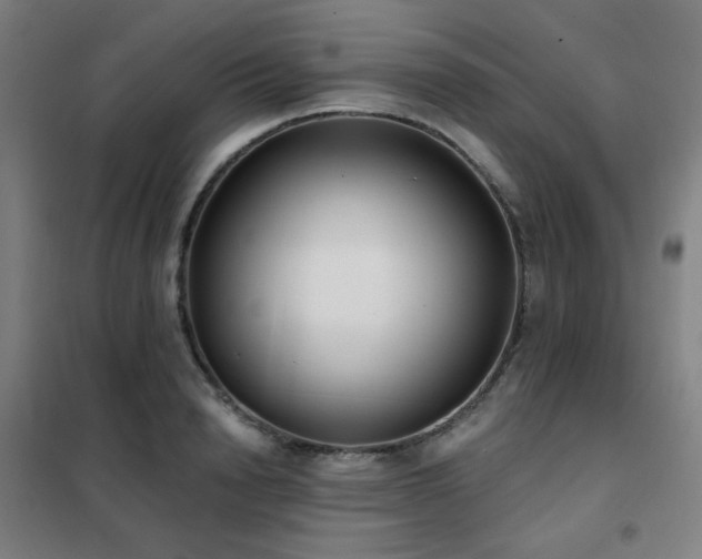 X0000102290846200807251420