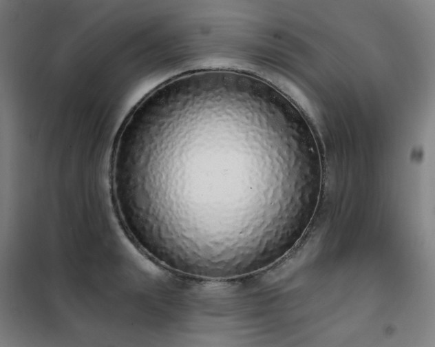 X0000102290847200807251420