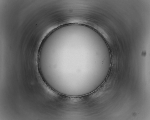 X0000102290848200807251420