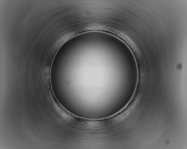 X0000102290849200807251420