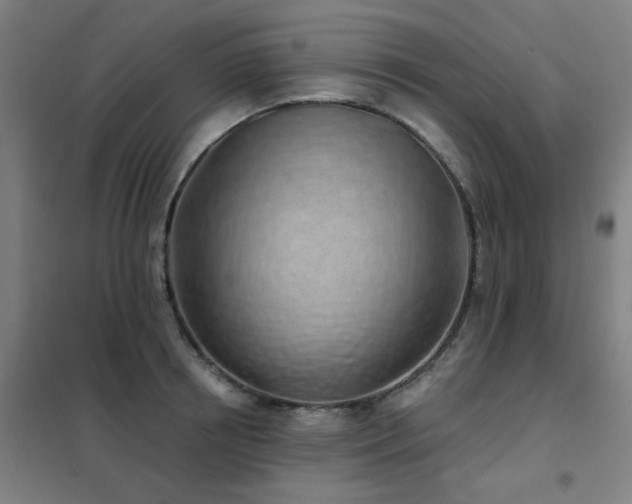X0000102290850200807251420