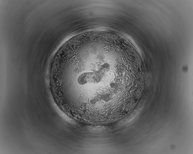 X0000102290851200807251420