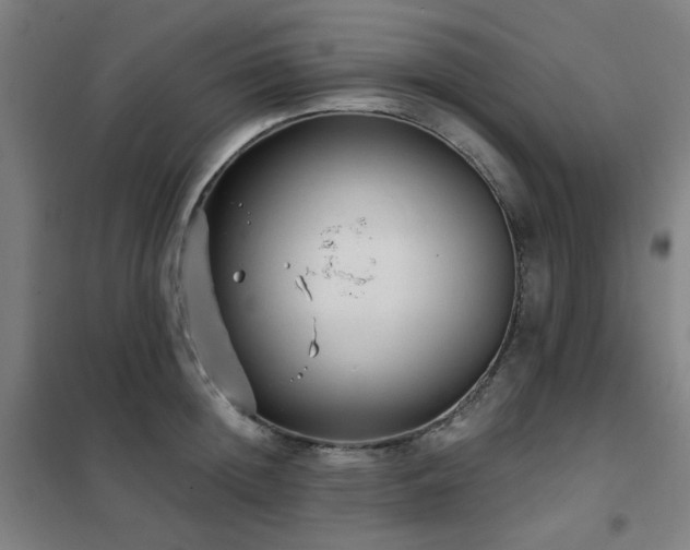 X0000102290852200807251420
