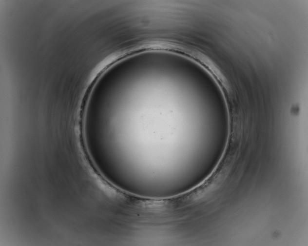 X0000102290853200807251420