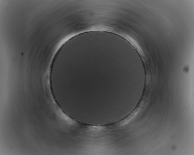 X0000102290854200807251420