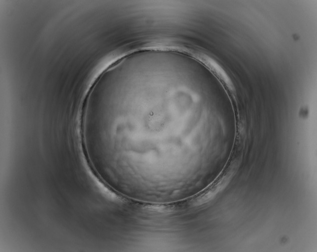 X0000102290855200807251420