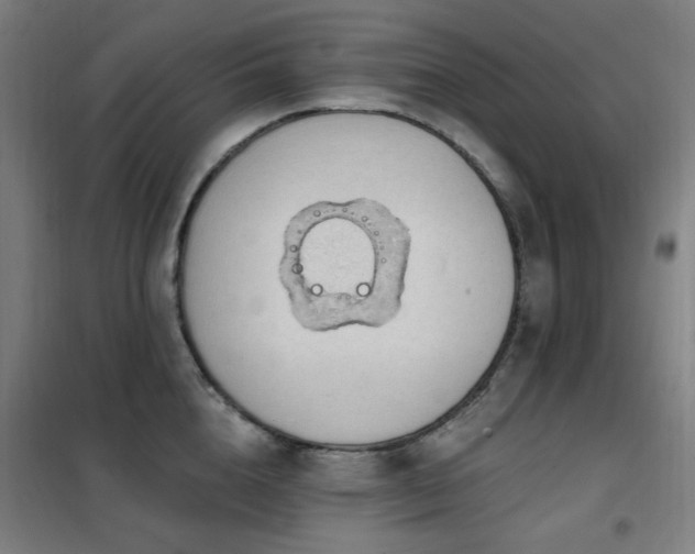 X0000102290856200807251420