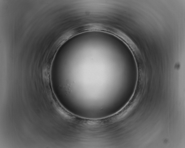 X0000102290857200807251420