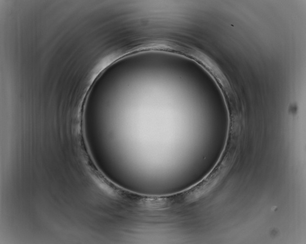 X0000102290858200807251420