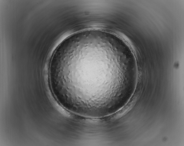 X0000102290859200807251420