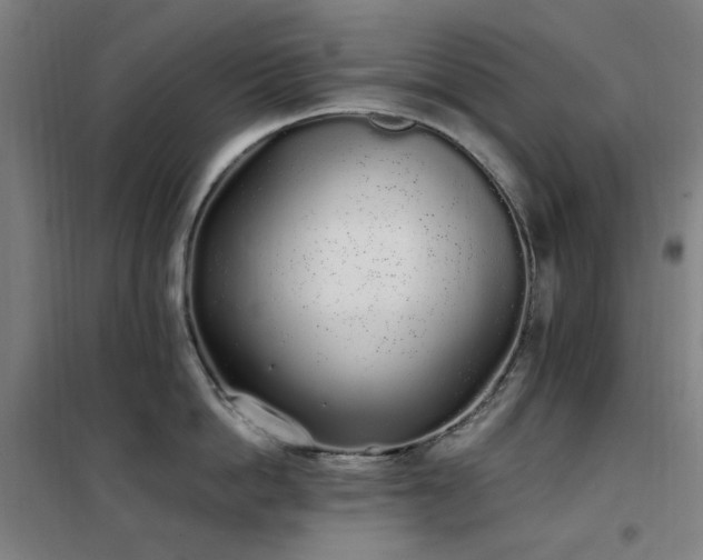 X0000102290862200807251420