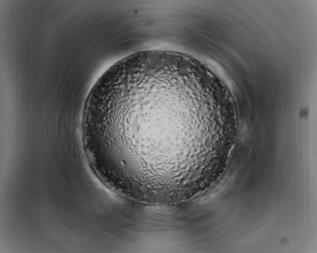 X0000102290863200807251420