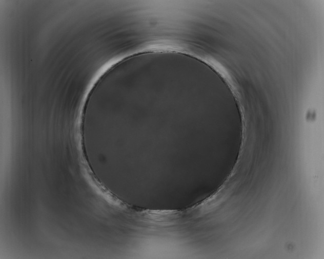 X0000102290864200807251420