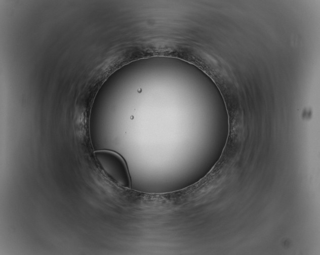 X0000102290866200807251420