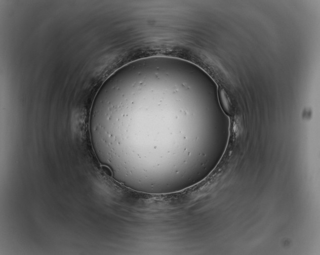 X0000102290867200807251420