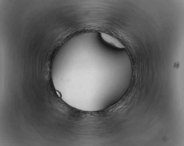 X0000102290868200807251420