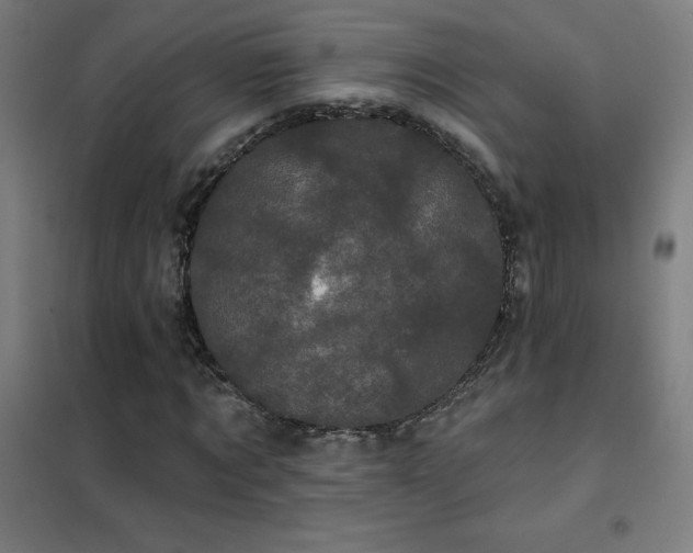 X0000102290869200807251420