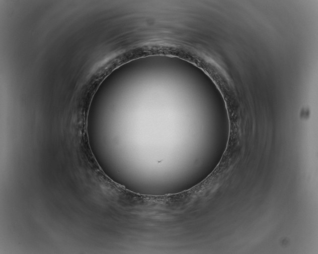 X0000102290870200807251420