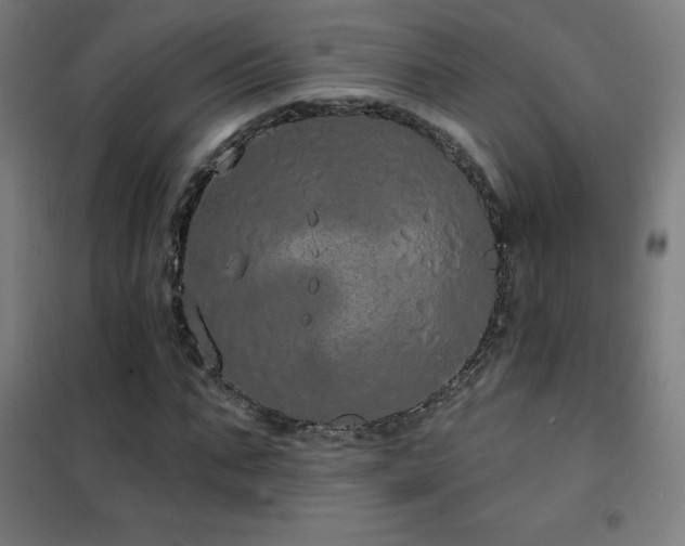 X0000102290871200807251420