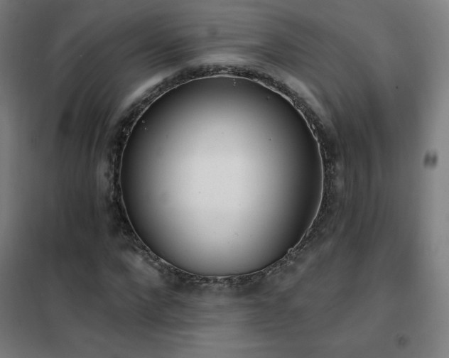 X0000102290872200807251420