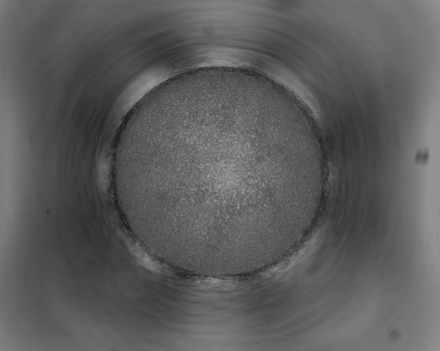 X0000102290874200807251420