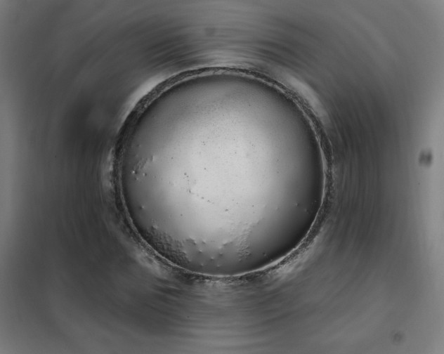 X0000102290875200807251420