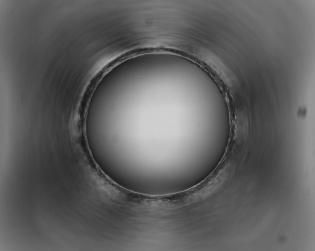 X0000102290876200807251420