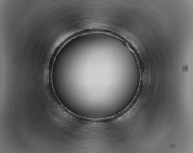 X0000102290877200807251420