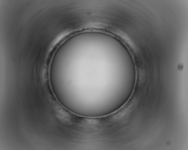 X0000102290878200807251420