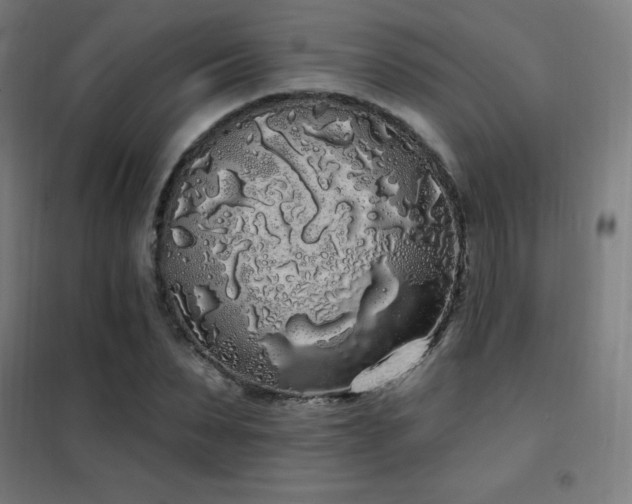 X0000102290879200807251420
