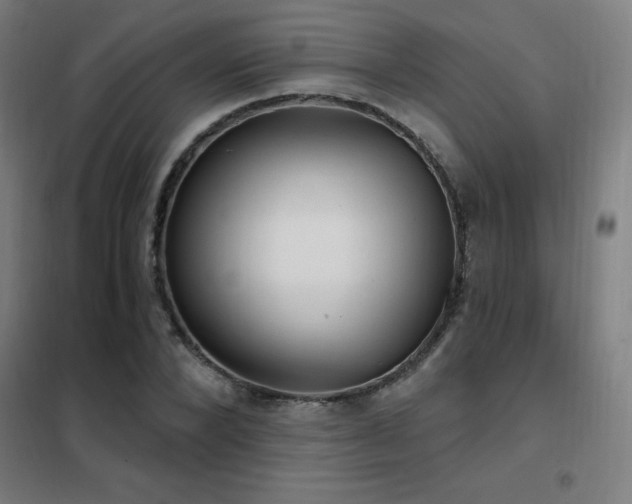 X0000102290880200807251419