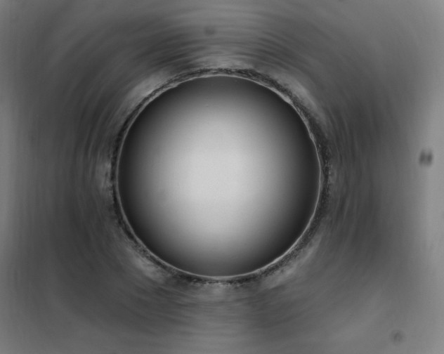 X0000102290881200807251419