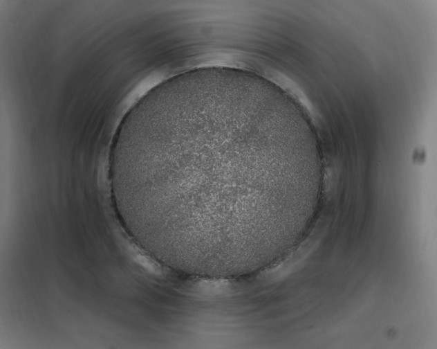 X0000102290882200807251419