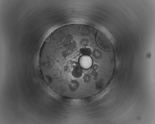 X0000102290883200807251419