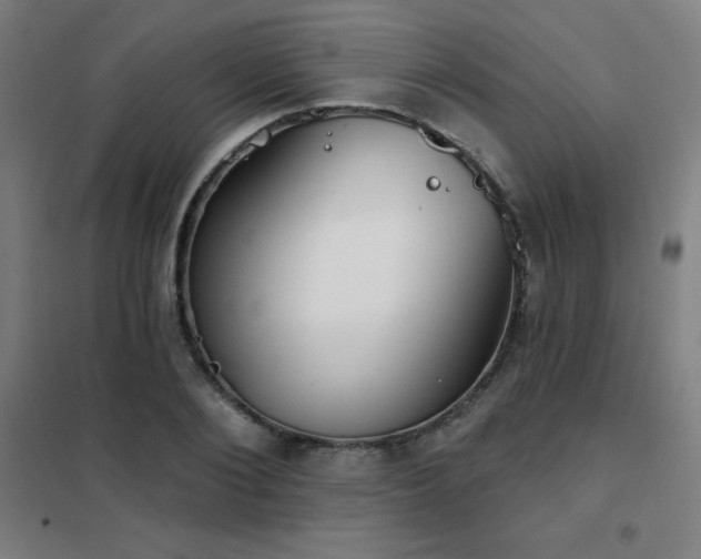 X0000102290884200807251419