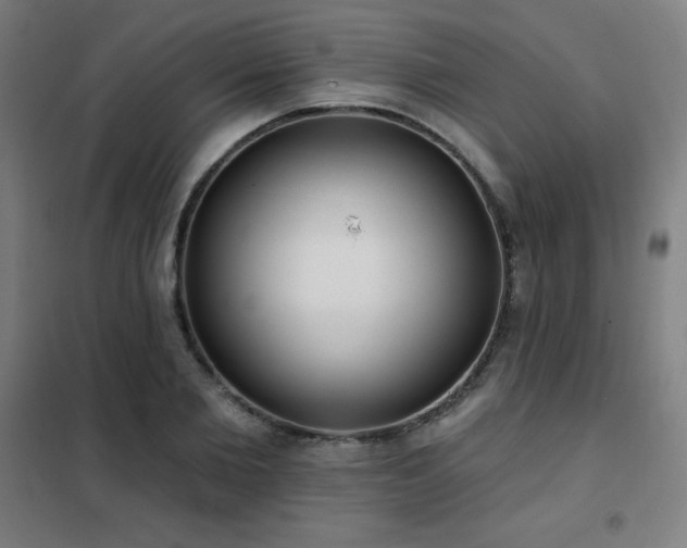 X0000102290885200807251419