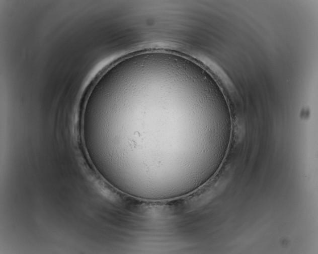 X0000102290886200807251419