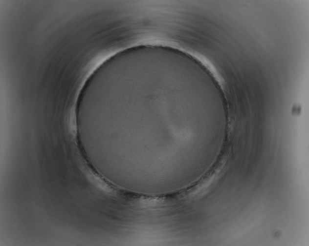 X0000102290887200807251419